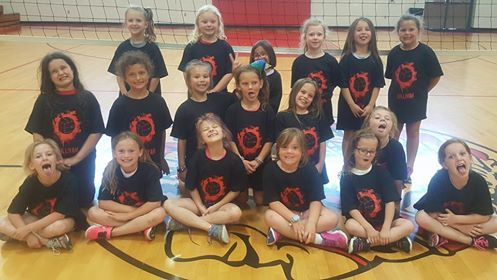 Volleyball Camp