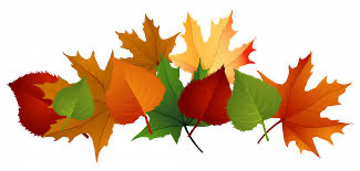 fall leaves
